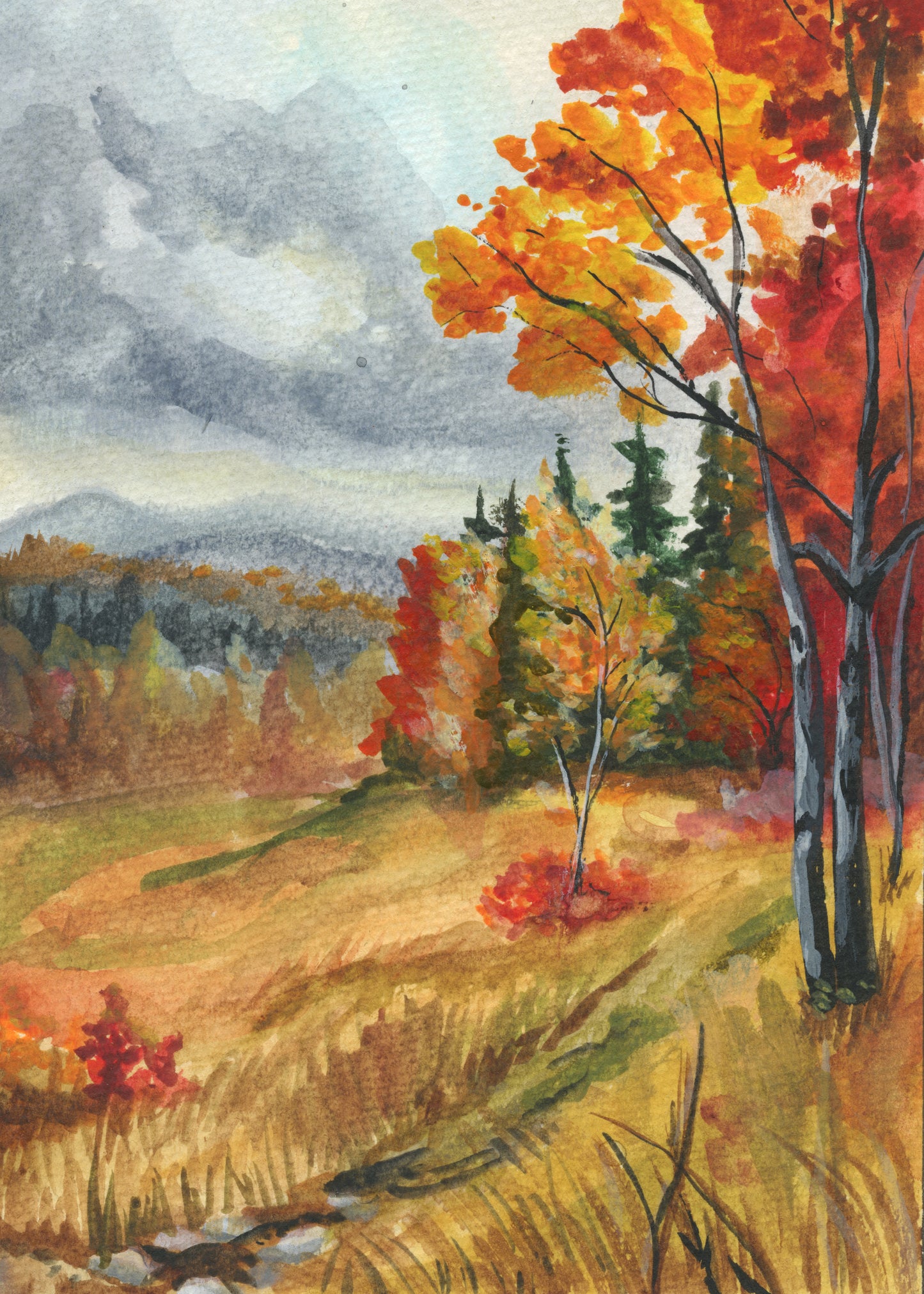 Berry Rose – Day 1