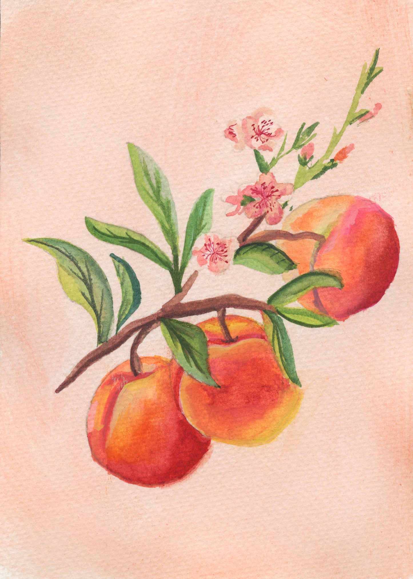 Warm Sand – Day 11