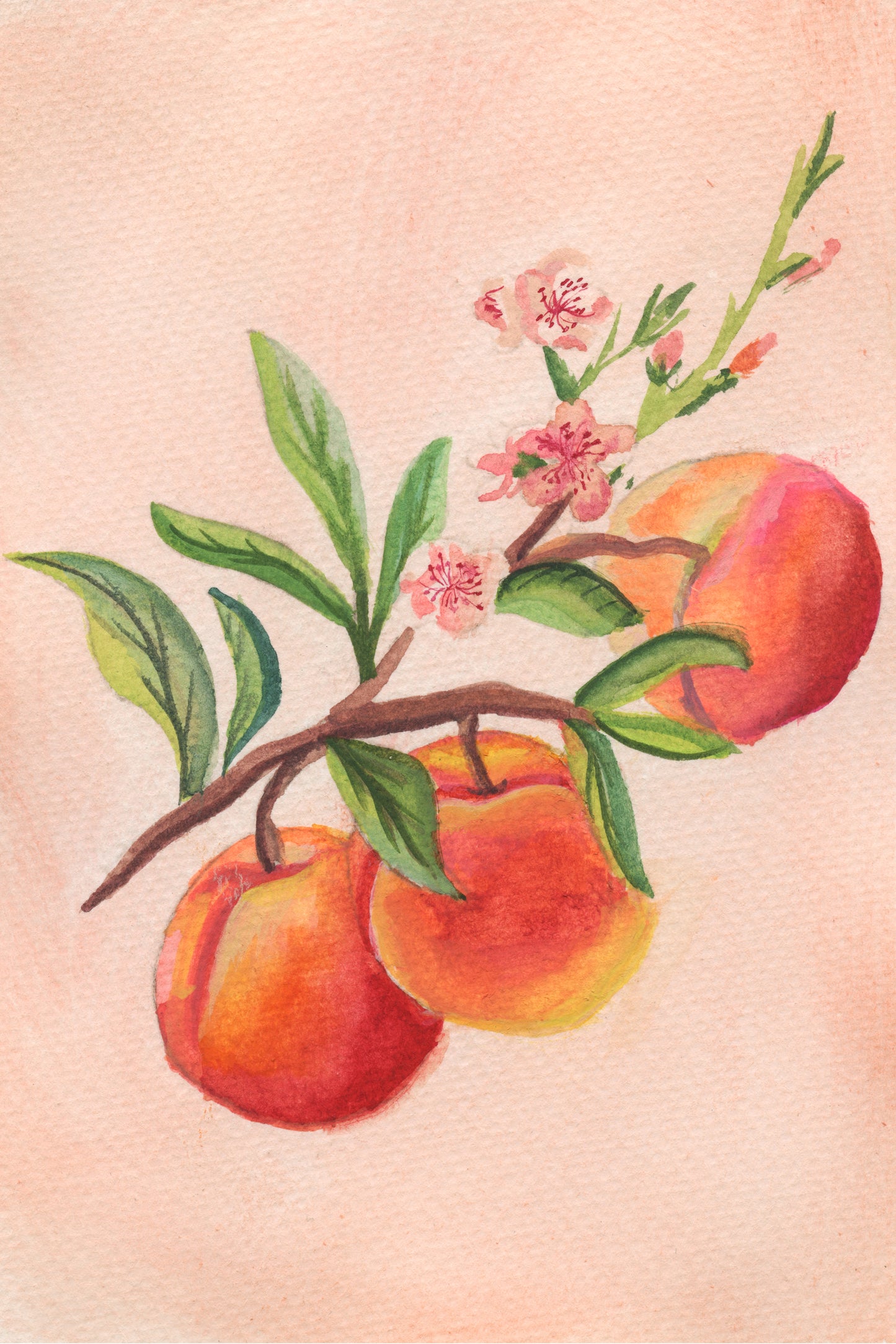 Warm Sand – Day 11