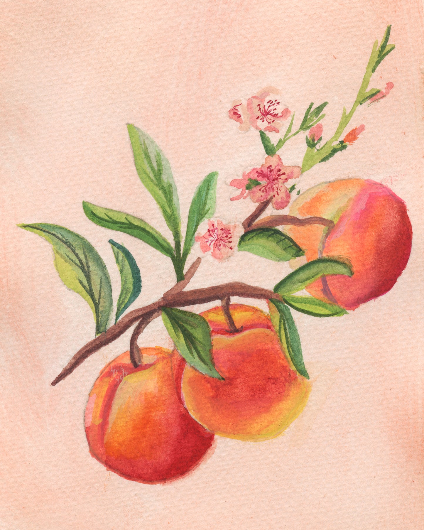 Warm Sand – Day 11