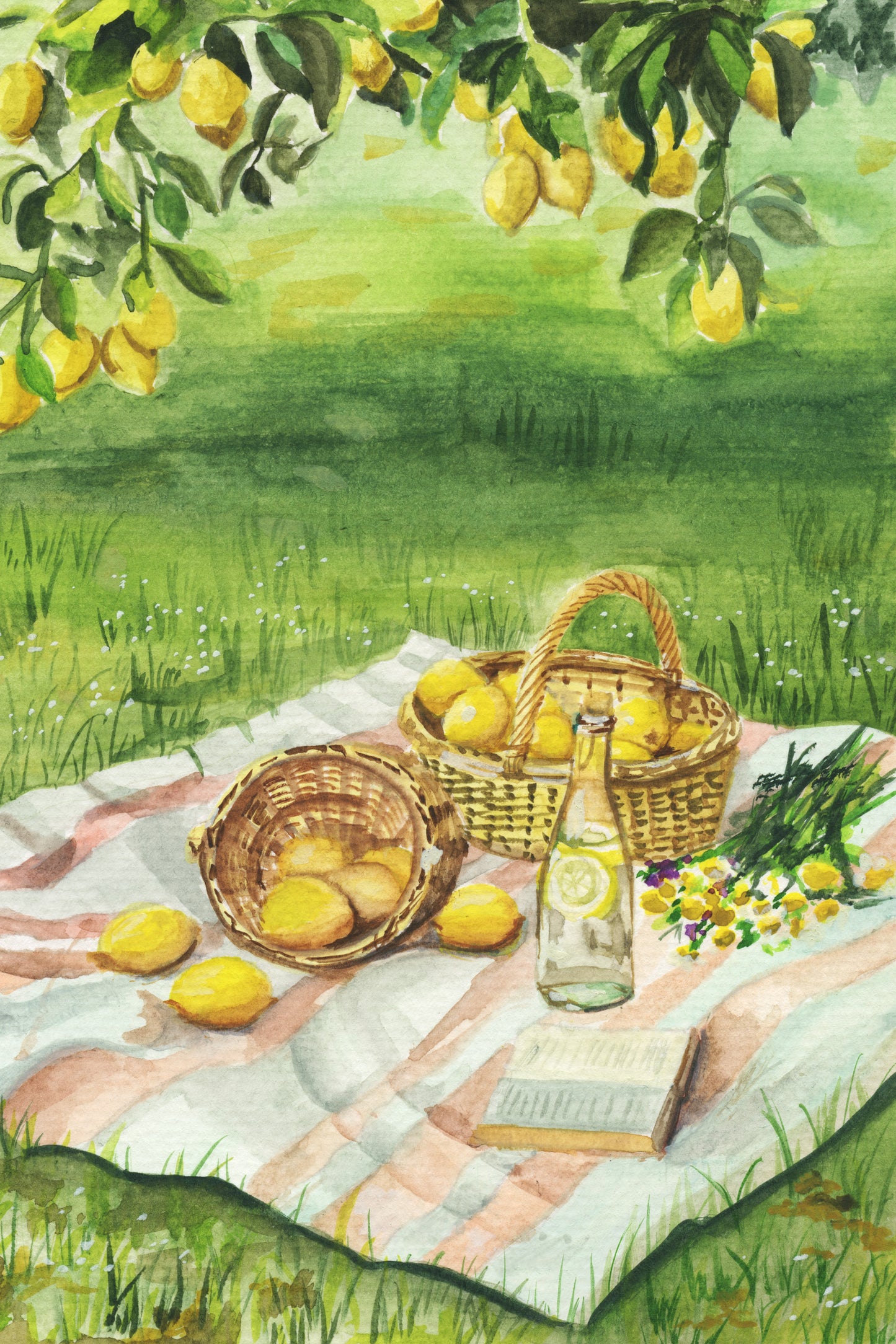 Lemon drop – Day 12