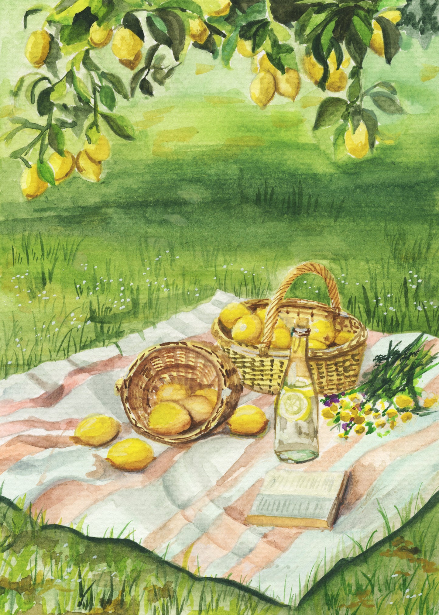 Lemon drop – Day 12