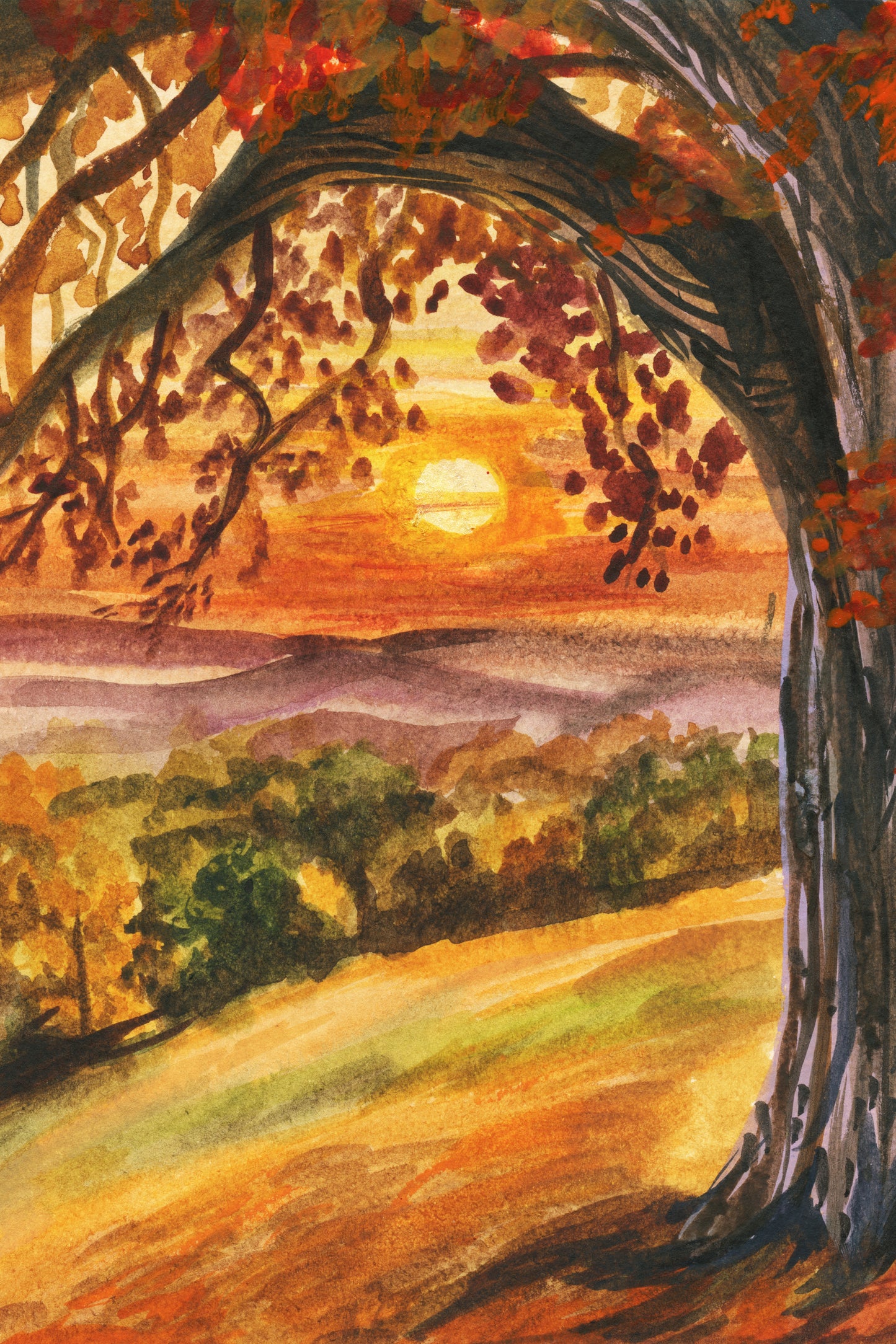 Burnt Maple – Day 5