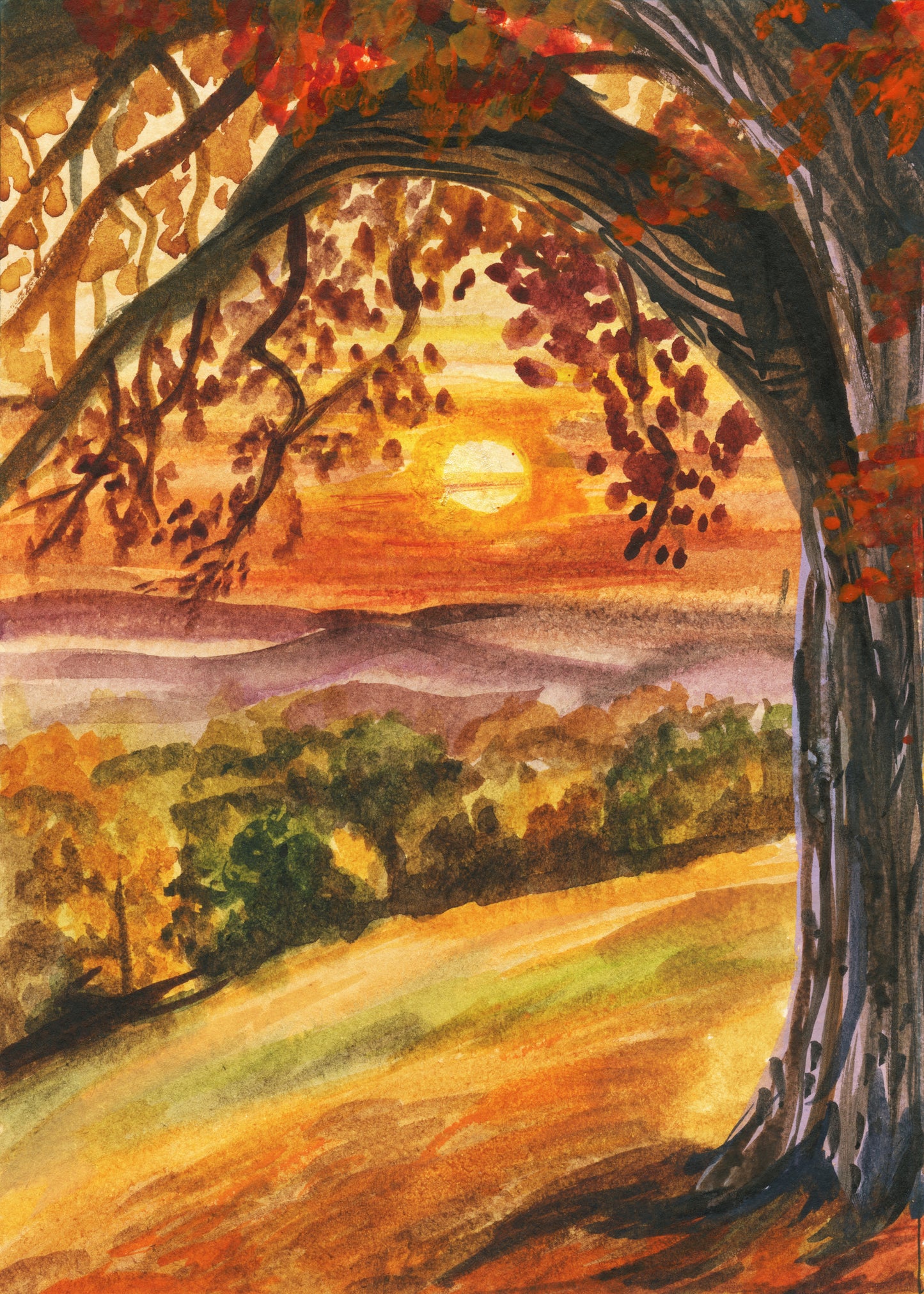 Burnt Maple – Day 5