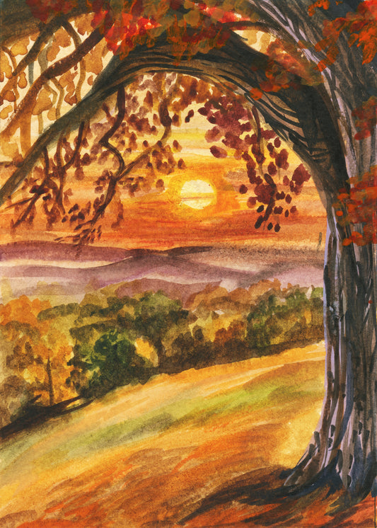 Burnt Maple – Day 5